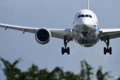JA817A
