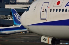 777