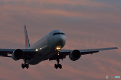 767