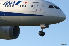 JA824A