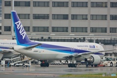 767