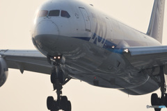 JA817A