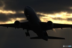 JA010D