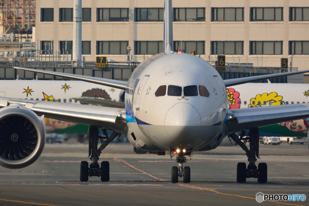 787