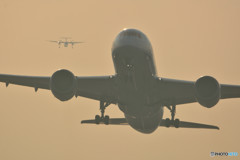 787とQ400