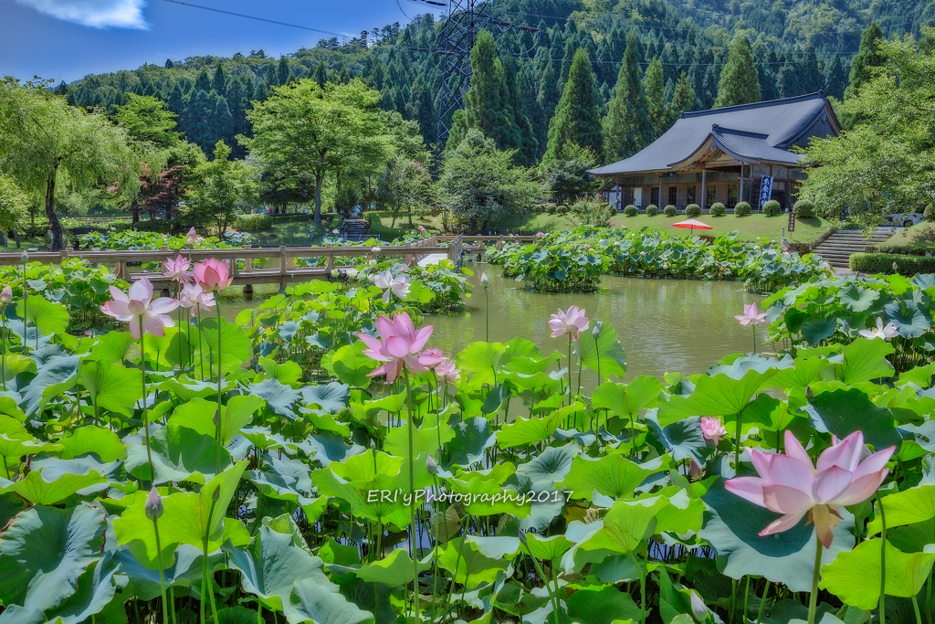 花はす公園