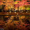 曽木公園