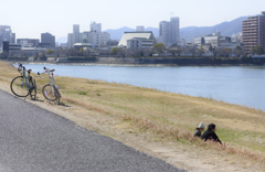 並んで停まって