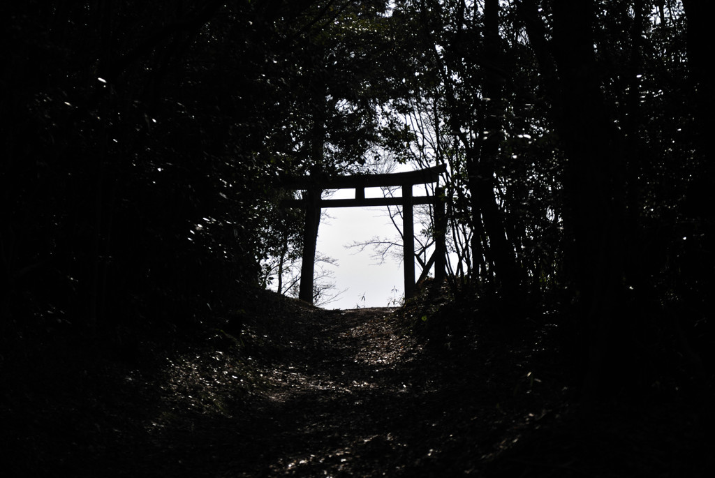 鬱蒼
