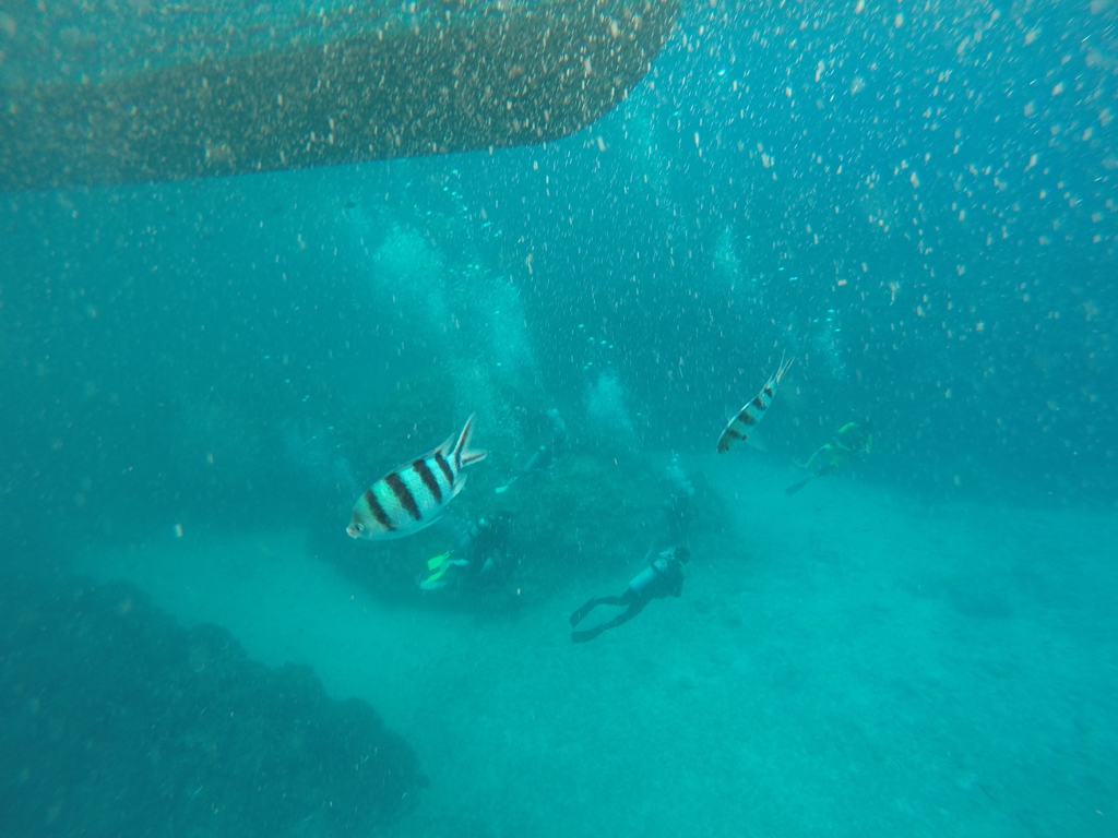 シュノーケリング[沖縄]