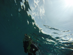 シュノーケリング[沖縄]