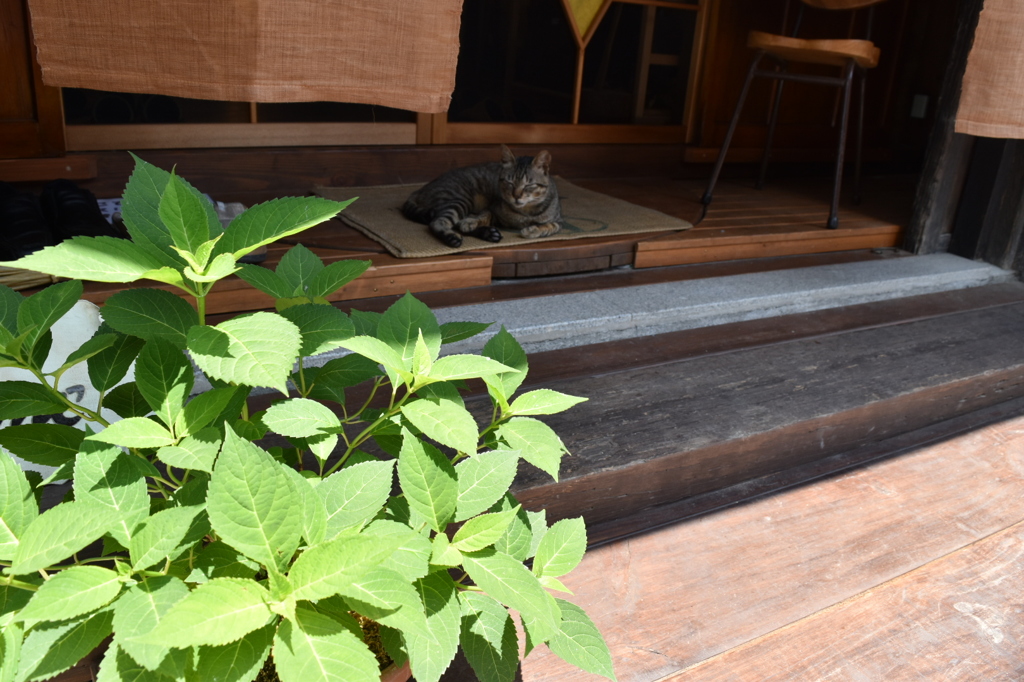お店の入り口にて