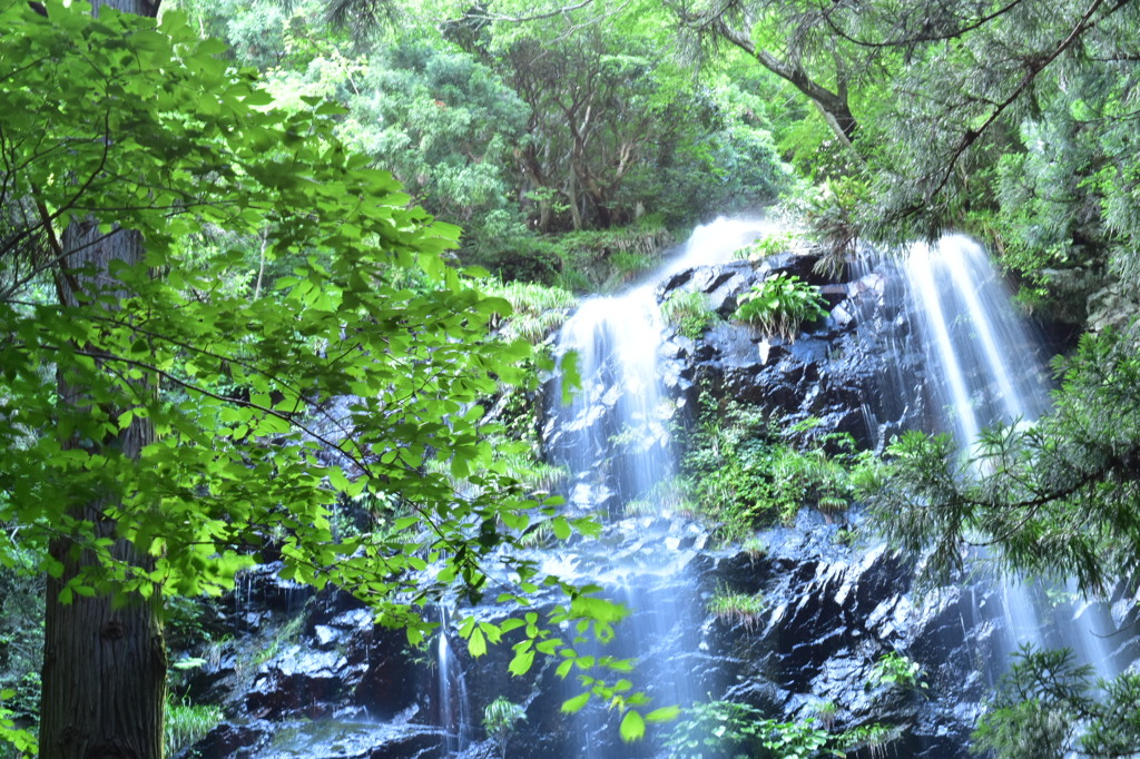 駒ヶ滝
