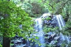 駒ヶ滝