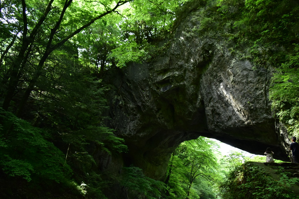 雄橋