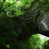 雄橋