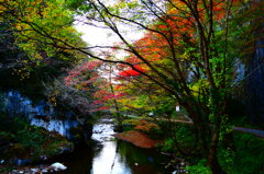 帝釈峡 川辺