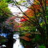 帝釈峡 川辺