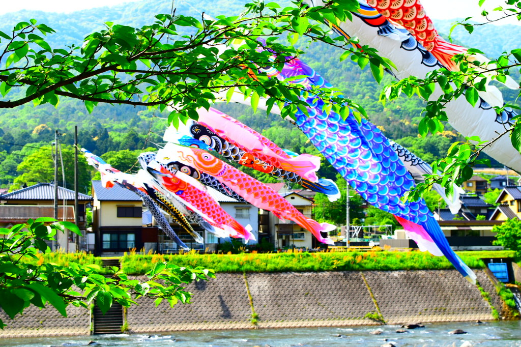 駆ける