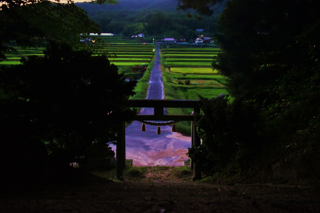 憧憬の路