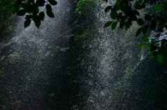 駒ヶ滝