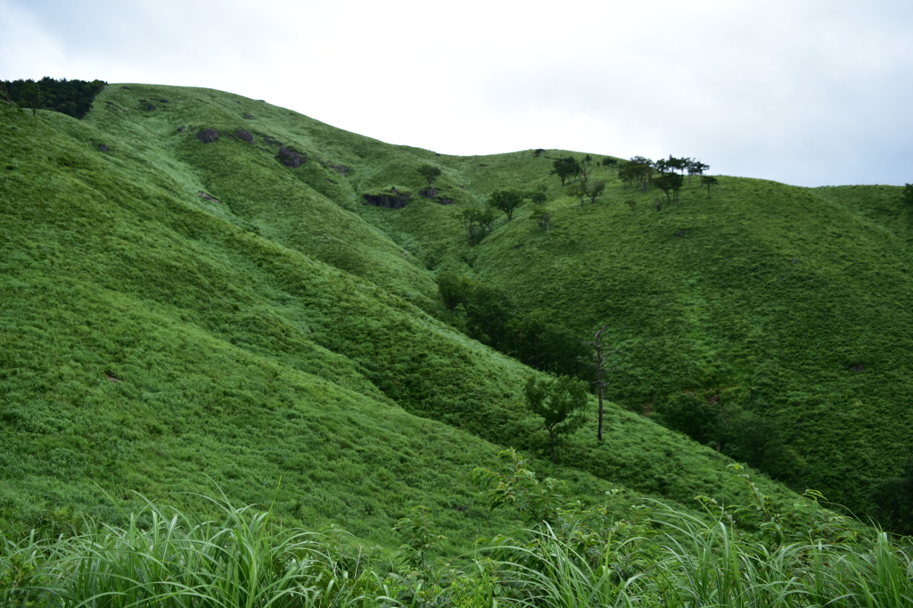 深入山  山頂付近