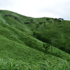 深入山  山頂付近