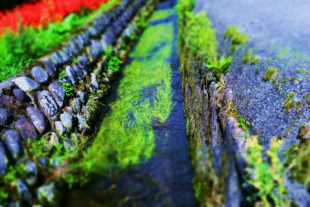 川草