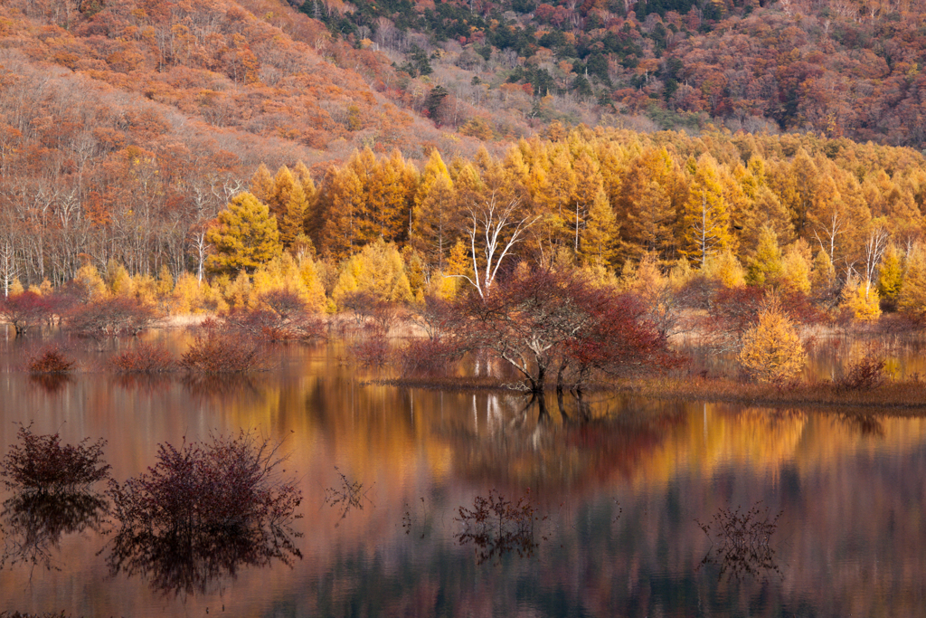 小田代湖秋景