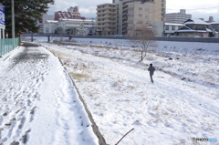 winter runner