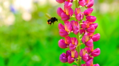 誘われて・・・