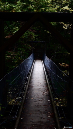 橋の先には・・・