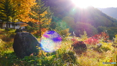 平湯温泉付近にて