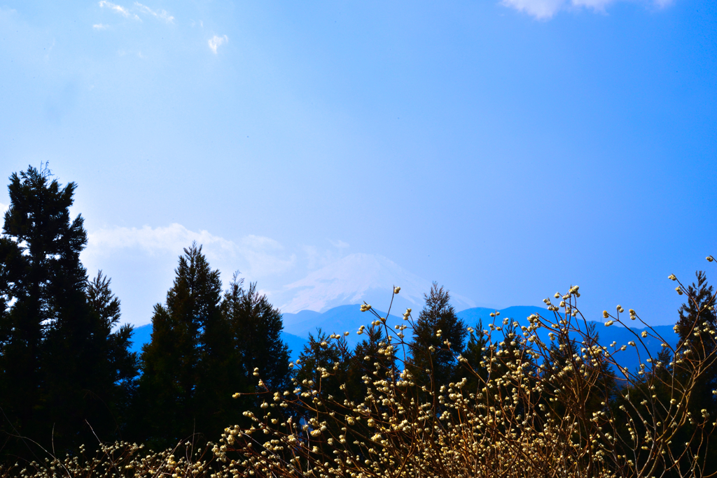 DSC_6088-1