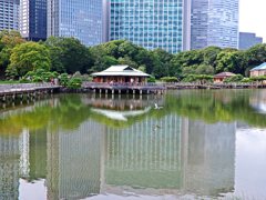 P1015610a