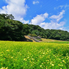 DSC_4426_00001b