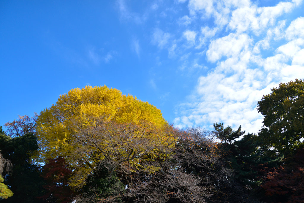 DSC_0395-1