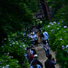DSC_1568_00001t