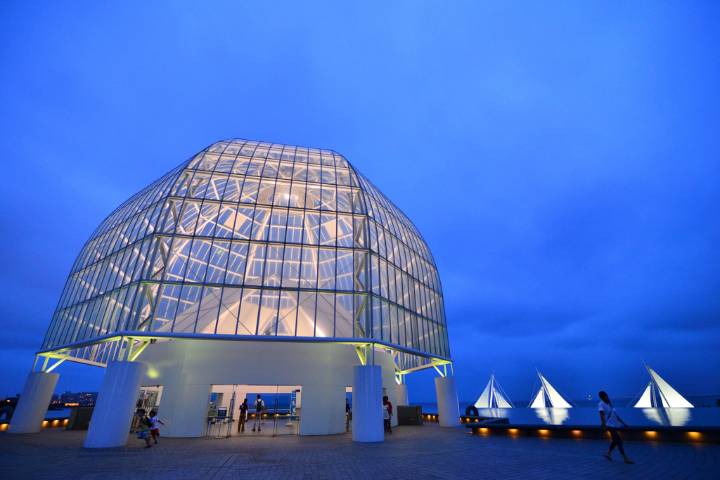 夜の水族館