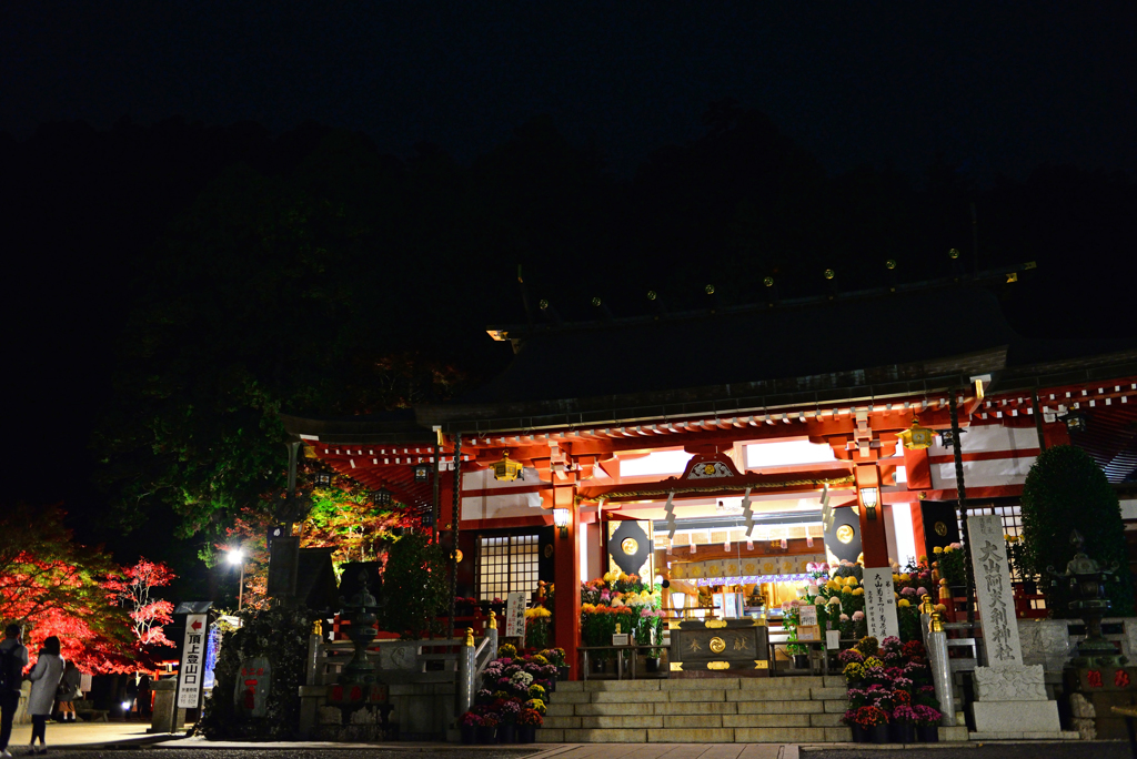 DSC_8390_00001a
