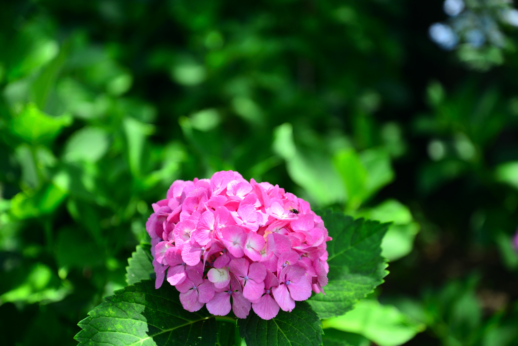 DSC_8705_00002