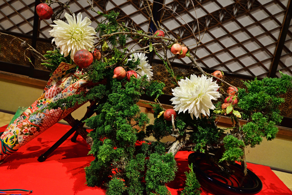 DSC_6939_00001_01a