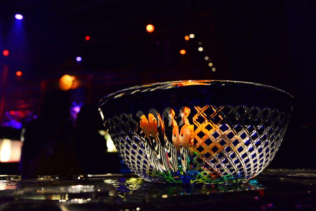 DSC_3232_00001a