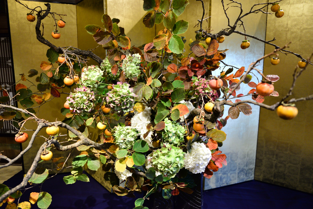 DSC_7016_00001