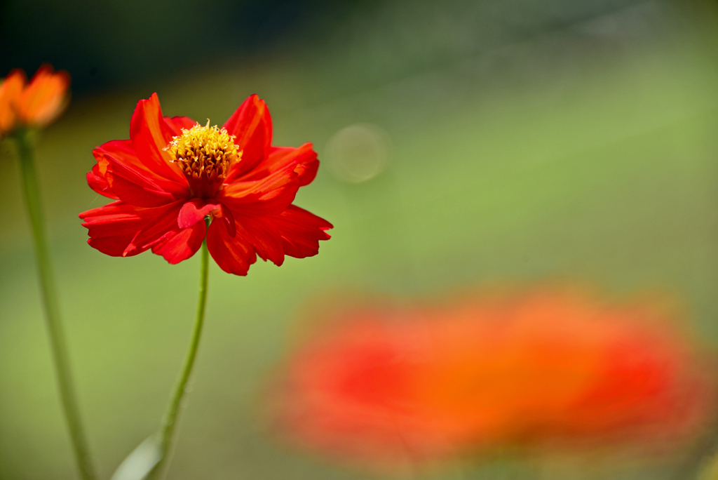DSC_2765_00001t