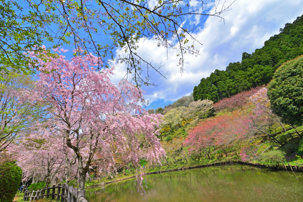 最明寺史跡公園