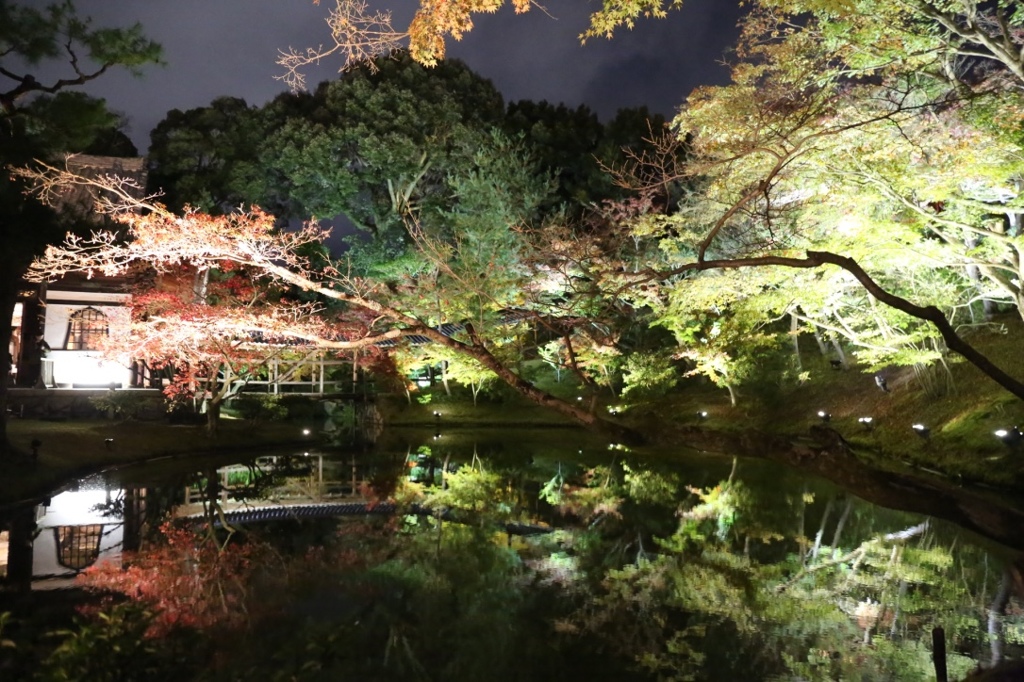 高台寺　ライトアップ