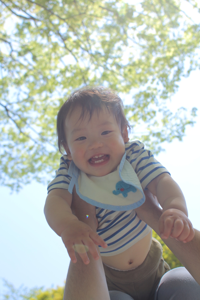 木漏れ日