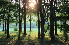 モエレ沼公園　夕日