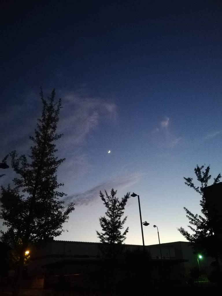 夕焼け